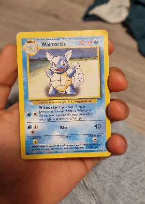 Wartortle graded 6 & below