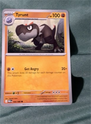 Tyrunt graded 8