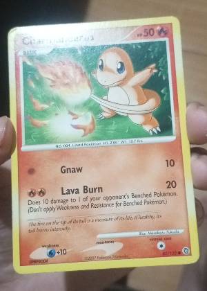 Charmander, graded 6.5