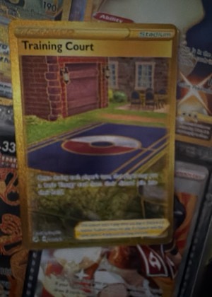 Training Court, graded 8.0
