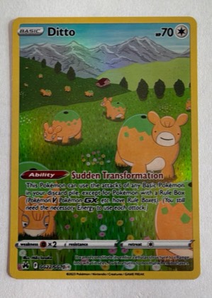 Ditto graded 9.5
