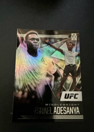 Israel Adesanya, graded 9.0