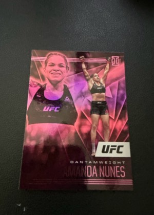 Amanda Nunes, graded 8.5