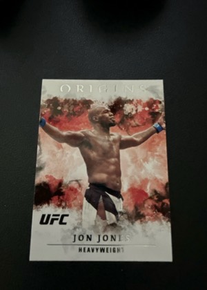 Jon Jones, graded 9.0