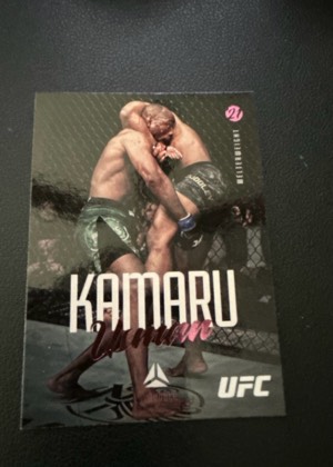 Kamaru Usman, graded 8.5
