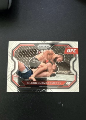 Khabib Nurmagomedov, graded 9.0