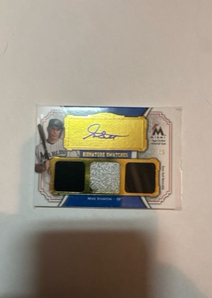 Mike Stanton, graded 8.0