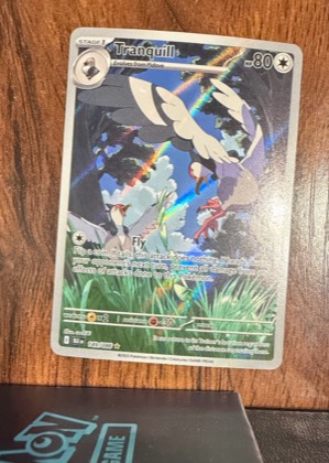 Tranquill, graded 9.0