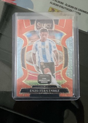 Enzo Fernández, graded 8.0