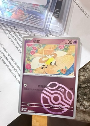 Cutiefly, graded 8.5