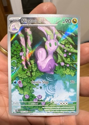 Sliggoo, graded 9.5