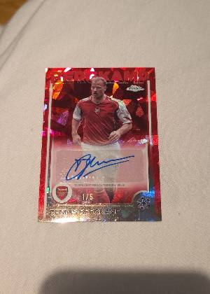 Dennis Bergkamp, graded 9.0