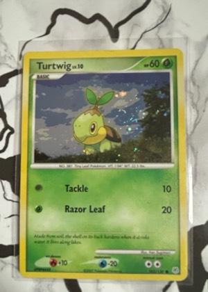 Turtwig, graded 9.0