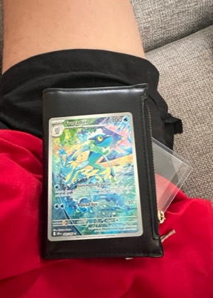Frogadier, graded 9.0