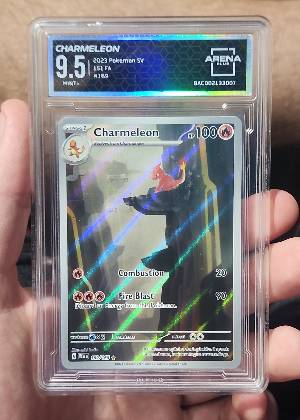 Charmeleon, graded 9.5