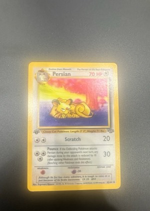 Persian, graded 7.5