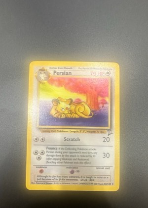 Persian, graded 7.5