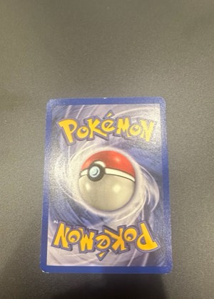 Tauros, graded 7.5