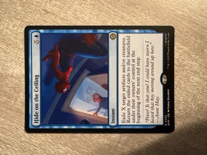 Hide on the Ceiling, graded 9.5