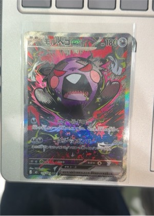 Morpeko, graded 9.0
