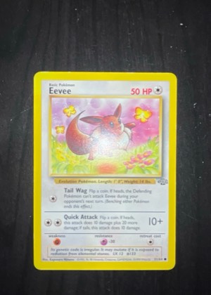 Eevee, graded 9.0