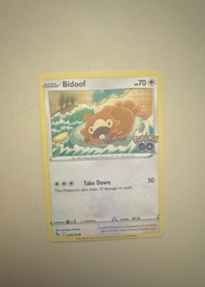 Bidoof, graded 8.0