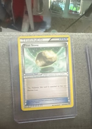 Float Stone, graded 8.0
