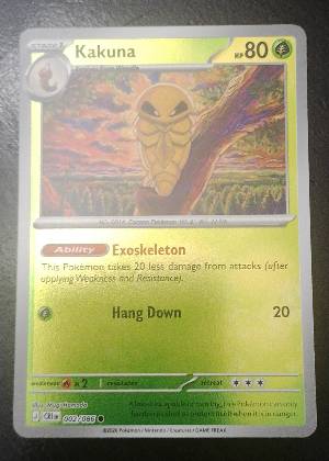 Kakuna graded 8