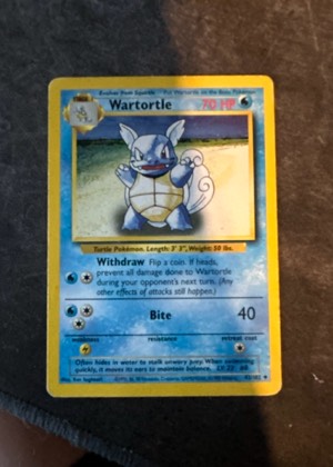 Wartortle, graded 8.0