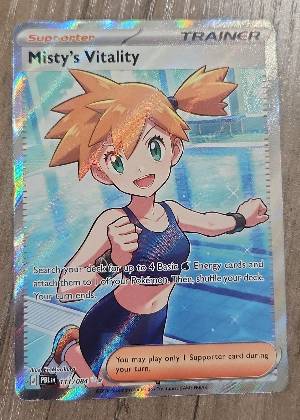 Misty's Vitality, graded 9.5