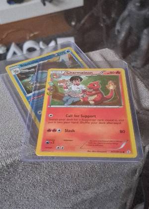 Charmeleon graded 8