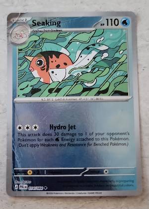 Seaking graded 6 & below