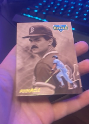 Tim Salmon / Dwight Evans, graded 8.0