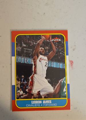 LeBron James, graded 9.5