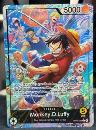 Monkey.D.Luffy graded 8