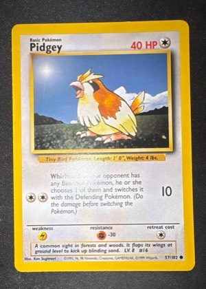 Pidgey graded 9