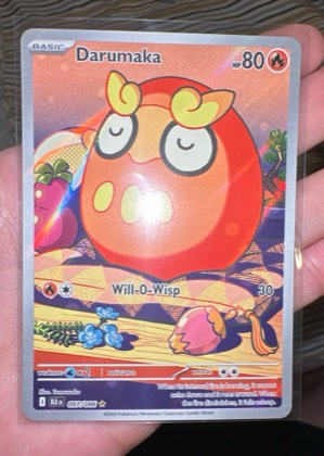 Darumaka, graded 9.5