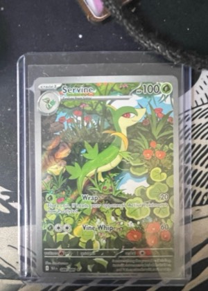 Servine, graded 9.0