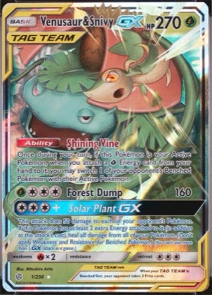 Venusaur & Snivy GX, graded 9.0