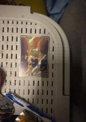 Phanpy, graded 8.0
