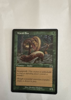 Marsh Boa, graded 9.0
