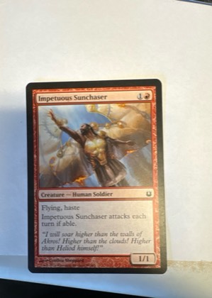 Impetuous Sunchaser, graded 9.0