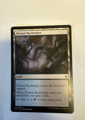 Dismal Backwater, graded 9.0