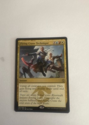 Flying Crane Technique, graded 9.0