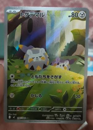 Togedemaru, graded 9.5