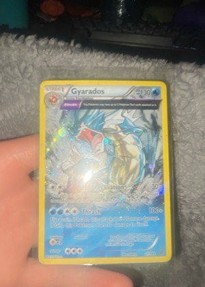 Gyarados, graded 9.0