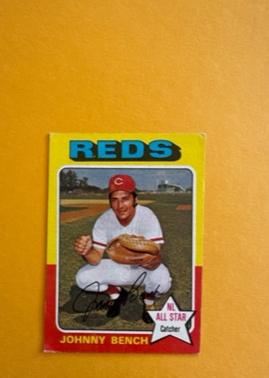 Johnny Bench, graded 6.0