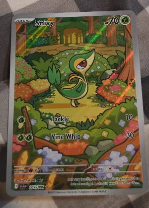 Snivy, graded 9.5