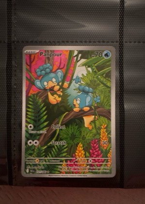 Panpour, graded 9.5