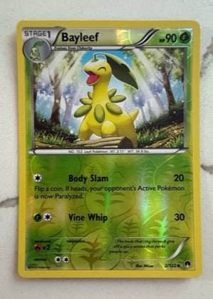 Bayleef, graded 9.0